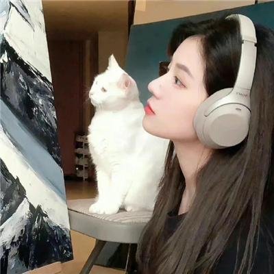 钻石惹的祸